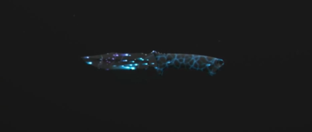 MW3 - Bioluminescent Combat Knife Camo