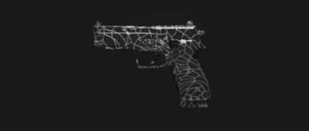 MW3 - Arachnida P890 Camo