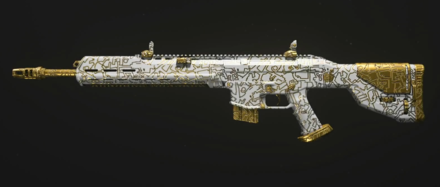 MW3 - Golden Enigma MCW 6.8 Camo