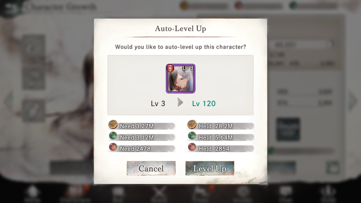 Leveling Up Witches  - MementoMori