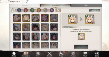 Awaken Characters