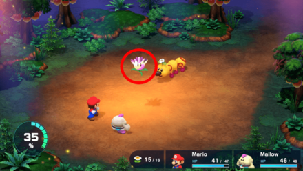 Super Mario RPG Remake - Bonus Flower