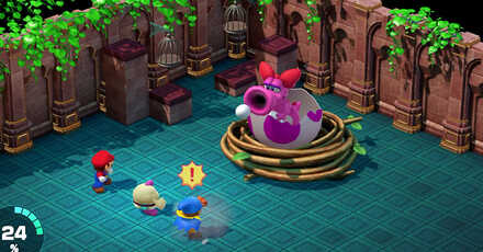 Super Mario RPG Remake - Birdo Uses Physical Attacks