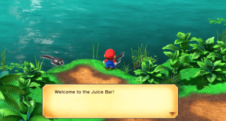 Super Mario RPG - Tadpole Pond Juice Bar