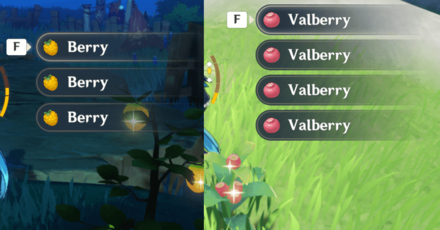 Genshin - Fruit Bunches