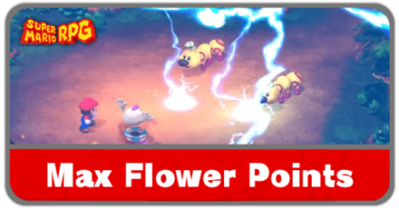 Super Mario RPG - What is the Max Flower Points