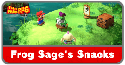 Super Mario RPG - Frog Sage