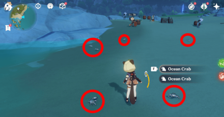 Genshin - Ocean Crab Location Overworld