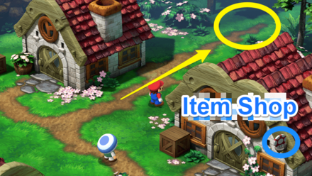 Super Mario RPG Remake - Toad Gardener Rose Town Location