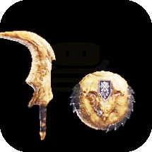 MHNow - Thunder Edge