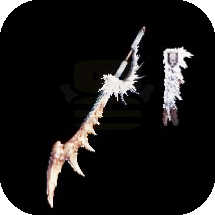 MHNow - Pulsar Shotel