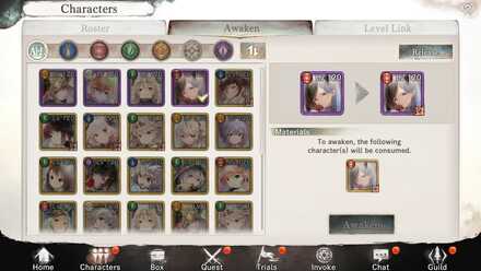 Awakening Characters - MementoMori