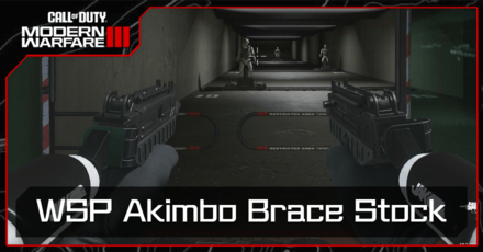 Modern Warfare 3 - WSP Akimbo Brace Stock