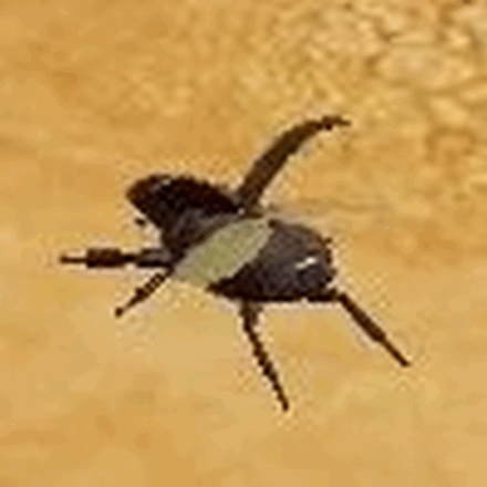 Super Mario RPG Remake - Female Beetle