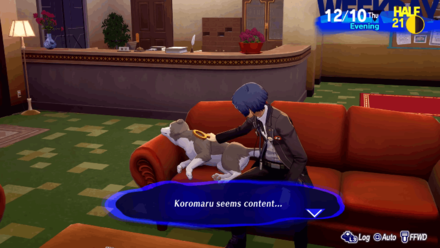 Persona 3 Reload - You can also brush Koromaru
