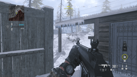 Backyard in South Woods