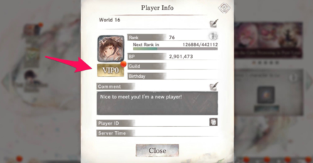 VIP level 2 size:728x410