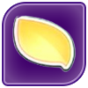 Yellow Petal Icon