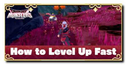 DQM - How to Level Up Fast