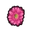 Blooming Joy Icon