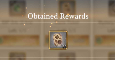 Purchase Successful at Guild Shop