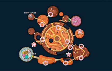 DQM3 - Circle of Indulgence - Middle Echelon Map