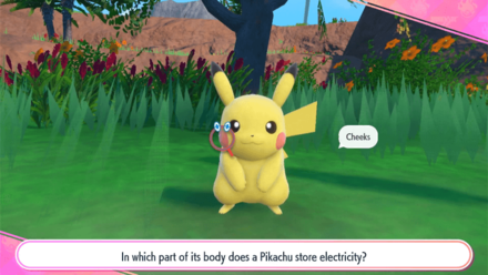 Pikachu Cheeks