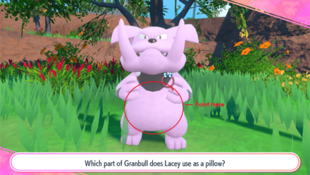 Granbull Tummy
