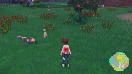 Pokemon SV - Chikorita Location 1