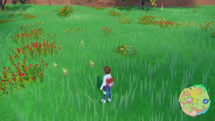 Pokemon SV - Grookey Location 1