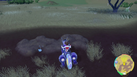 Pokemon SV - Sobble Location 1