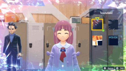 Pokemon SV - Terastallized Effect