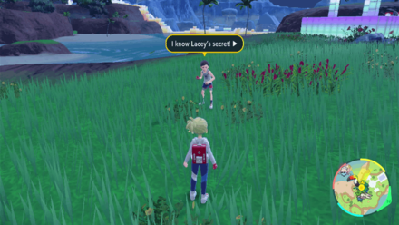 Pokemon SV Indigo Disk -  Satoru of the League Club Map