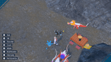 Pokemon Scarlet and Violet SV - Press X to Wash