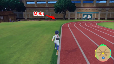 Pokemon Scarlet and Violet Indigo Disk Mela at the Schoolyard