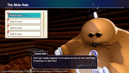 DQM3 - The Mole Hole