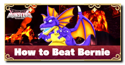 DQM3 - How to Beat Bernie