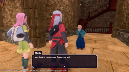 DQM3 - Monty in Rosehill Tower