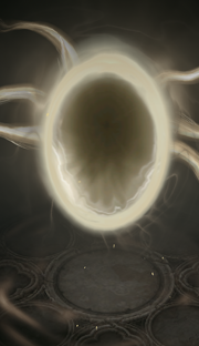 Corridor of Light Cosmetic