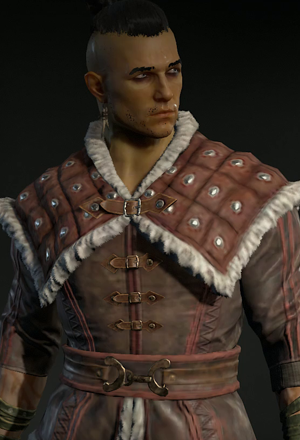 D4 - Rogue Fur-Lined Gambeson