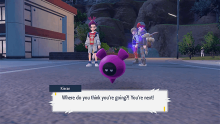 Pokemon SV - Chase Down the Mysterious Pokemon