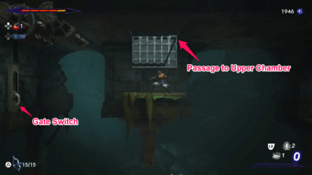 Upper Chamber to Bijan