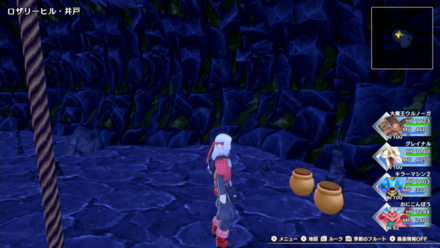 Dragon Quest Monsters The Dark Prince - Rosehill Pot 3