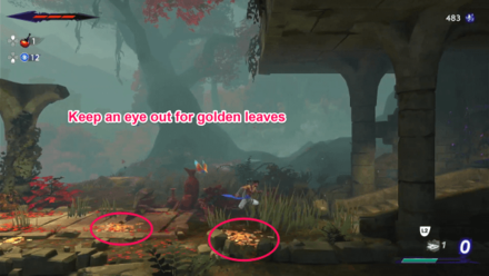 Keep an Eye Out For Golden Leaves