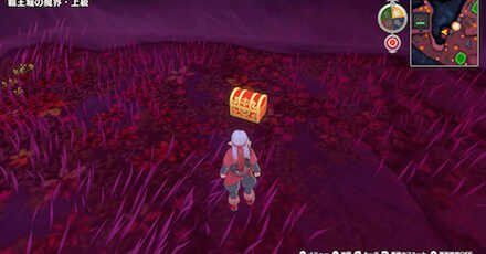 DQM The Dark Prince - Raging Ruby Circle of Conquest Location