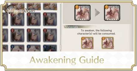 Awakening Guide - MementoMori
