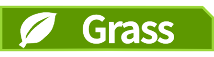 Grass Type