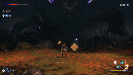 Soma Tree Petal Hyrcanian Forest 1