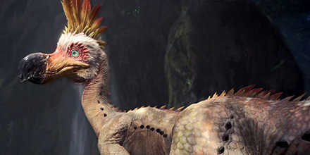 Bird Wyvern Gem Farming