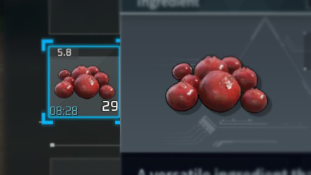 Palworld - Red Berries Expiration